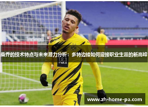 桑乔的技术特点与未来潜力分析：多特边锋如何迎接职业生涯的新高峰