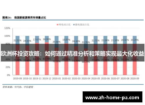 欧洲杯投资攻略:如何通过精准分析和策略实现最大化收益 欧洲杯投资攻略:如何通过精准分析和策略实现最大化收益