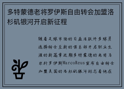 多特蒙德老将罗伊斯自由转会加盟洛杉矶银河开启新征程